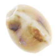 Perline ovali in ceramica 13x9 mm - Beige - Ecru marmorizzato x10