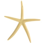 Pendente a forma di stella marina 51x46 mm - Dorato con oro fino x1