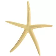 Pendente a forma di stella marina 51x46 mm - Dorato con oro fino x1