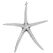 Pendente a forma di stella marina 51x46 mm -Placcatura in argento anticato x1