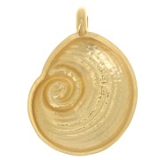 Ciondolo conchiglia 23x17 mm - Dorato in oro fino x1