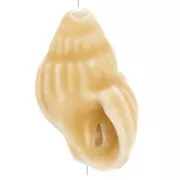 Perla di conchiglia in ceramica 21x13 mm - Beige x1