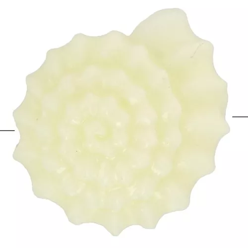 Perlina conchiglia in plastica 12 mm - Ecrù x8