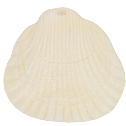 Pendente in resina a forma di conchiglia 34x36 mm - Crema marmorizzata x1