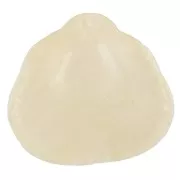 Pendente in resina a forma di conchiglia 34x36 mm - Crema marmorizzata x1