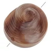 Perla di conchiglia in resina 12 mm - Marmorizzata Marrone chiaro - Marrone scuro x5