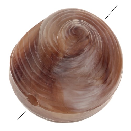 Perla di conchiglia in resina 12 mm - Marmorizzata Marrone chiaro - Marrone scuro x5