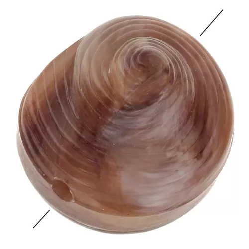 Superfindings 12 Pz 3 Perle Di Conchiglia In Madreperla Bianca Naturale Con Turchese Sintetico Piatta E Rotonda Con Malocchio