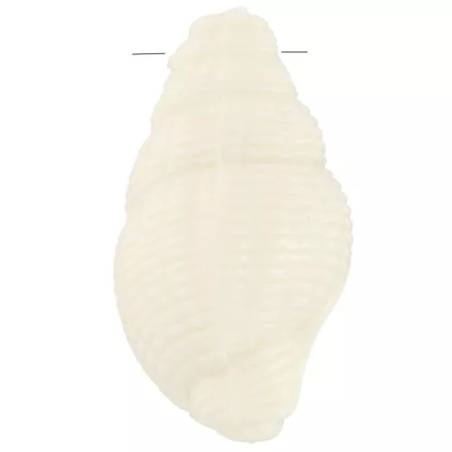 Pendente a conchiglia 20,5x13 mm in resina opaca - Ecrù x1