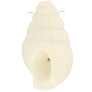 Pendente a conchiglia 20,5x13 mm in resina opaca - Ecrù x1