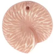 Pendente conchiglia da 21 mm in resina opaca - Marrone chiaro x1