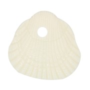 Zecchini conchiglia 10x10,5 mm in resina opaca - Ecrù x6
