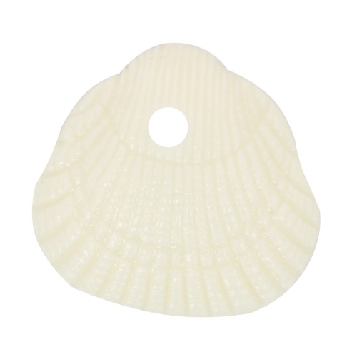 Zecchini conchiglia 10x10,5 mm in resina opaca - Ecrù x6