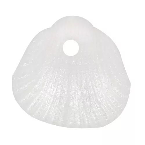 Zecchini conchiglia 10x10,5 mm in resina opaca - Bianco perlato x6