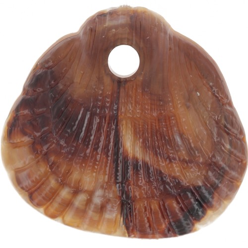 Zecchini conchiglie 17x18 mm in resina opaca - Marmorizzati Marrone chiaro - Marrone scuro x4
