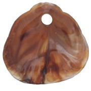 Zecchini conchiglie 17x18 mm in resina opaca - Marmorizzati Marrone chiaro - Marrone scuro x4