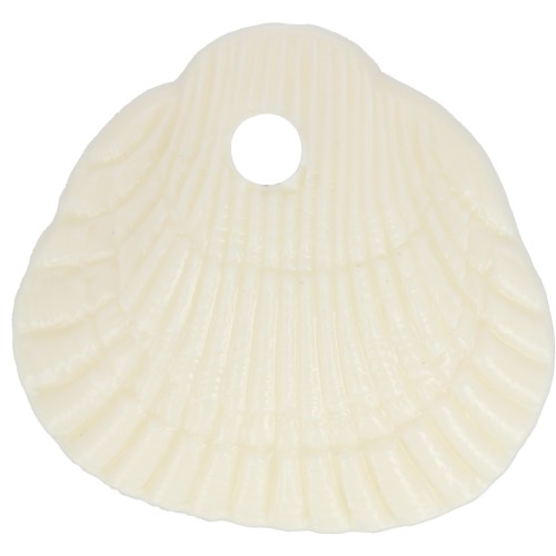 Zecchini conchiglie 17x18 mm in resina opaca - Ecrù x4