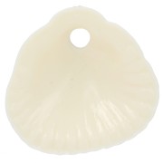 Zecchini conchiglie 17x18 mm in resina opaca - Ecrù x4