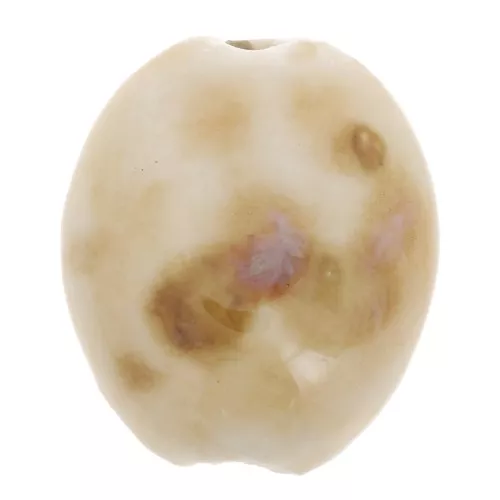 Perle in ceramica olivastra 21x18 mm - Beige - Marrone marmorizzato x4