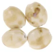 Perle in ceramica olivastra 21x18 mm - Beige - Marrone marmorizzato x4