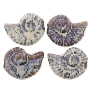 Perla di conchiglia in ceramica 40x31 mm - Marrone scuro - Blu e beige marmorizzato x1