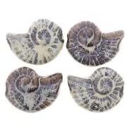 Perla di conchiglia in ceramica 40x31 mm - Marrone scuro - Blu e beige marmorizzato x1