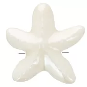 Perle di stelle marine in ceramica da 17 mm - Bianco iridescente x5