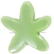 Perle di stelle marine in ceramica da 17 mm - Verde iridescente x5