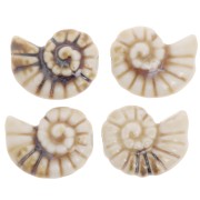 Perla conchiglia in ceramica 20x16 mm - Marrone chiaro x1
