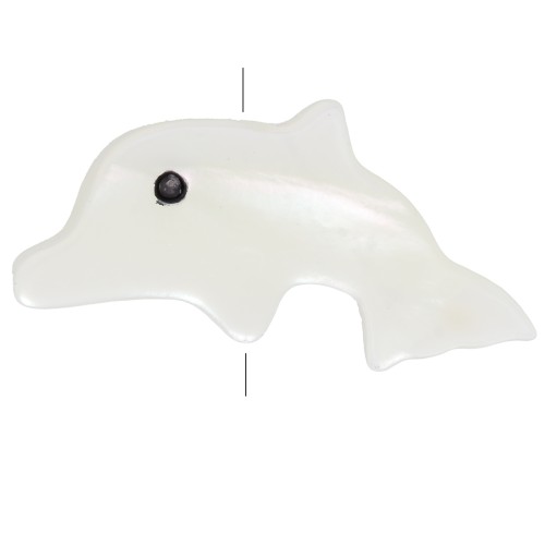 Perla di delfino in madreperla 8x16,5 mm - Naturale x1