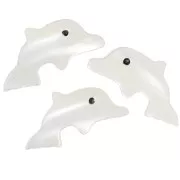 Perla di delfino in madreperla 8x16,5 mm - Naturale x1