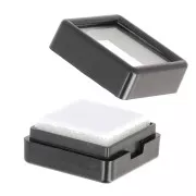 Scatola gemmologica da 29 mm per pietre semipreziose - Trasparente - Nero x1