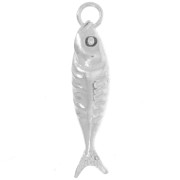 Ciondolo a forma di pesce 25x6 mm - Argento 925 x1
