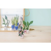 Kit di modellazione Cernit - Mini piante x1