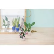 Kit di modellazione Cernit - Mini piante x1