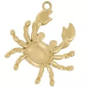 Pendente a forma di granchio 29,5x28,5 mm con strass - Acciaio inossidabile 304L Dorato x1