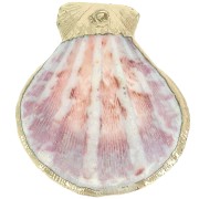 Pendente in conchiglia 37-40 mm con finiture in oro - Naturale x1|raw }}