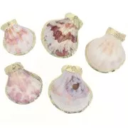 Pendente in conchiglia 37-40 mm con finiture in oro - Naturale x1