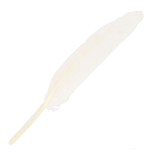 Piume da 10 a 15 cm Bianco x100