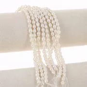 Perle d'acqua dolce a grana di riso 6x5 mm - Grado AA - Bianco x 35cm