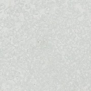 Perle Preciosa 15/0 - 1,5 mm Cristallo x10g