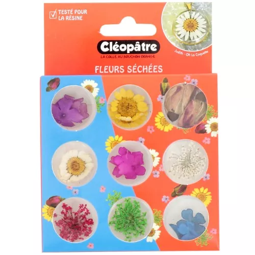 Assortimento di 21 fiori di Cleopatra essiccati e pressati - Multicolore