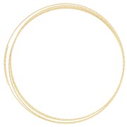 Filo semiduro - ricotto - rotondo diamantato 0,8 mm - Argento 925 Dorato con oro fino x1m|raw }}