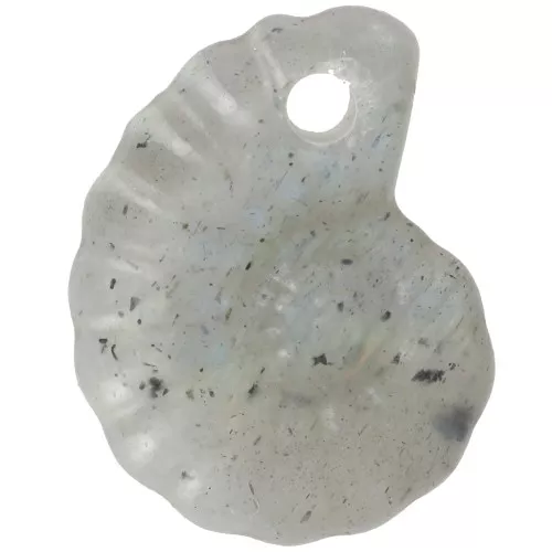 Pendente in pietra semipreziosa Spiral Shell 20x16 mm - Labradorite x1