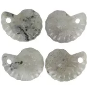 Pendente in pietra semipreziosa Spiral Shell 20x16 mm - Labradorite x1