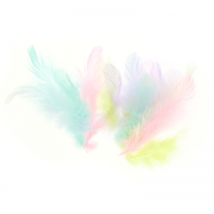 Abbinamento di piume di gallo 7 cm Pastello x20