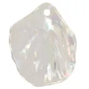 Zecchini a petali di fiori curvi 19x16 mm in acrilico - Trasparente AB x12