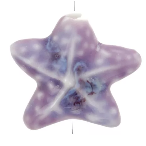 Perla stella marina in ceramica 19x21 mm - Viola marmorizzato x1