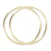 Orecchini ad anello 30 mm in Gold filled x2