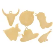 Mix di ciondoli epossidici - Esclu Perles & Co Acciaio inox 304L Dorato x6